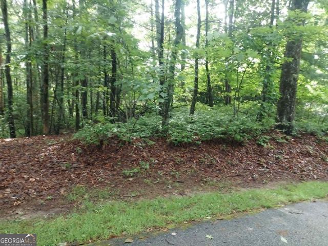 0 LOT 3 Jiminy Peak, Sky Valley, GA 30537
