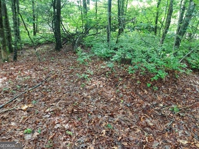 0 LOT 3 Jiminy Peak, Sky Valley, GA 30537