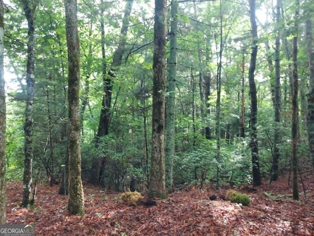 0 LOT 3 Jiminy Peak, Sky Valley, GA 30537