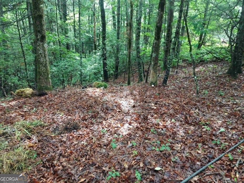 0 LOT 3 Jiminy Peak, Sky Valley, GA 30537