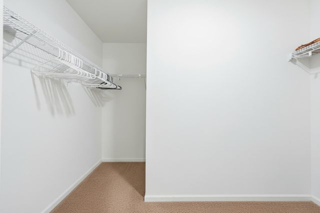 126 Dragonfly Lane, Branson, MO 65616