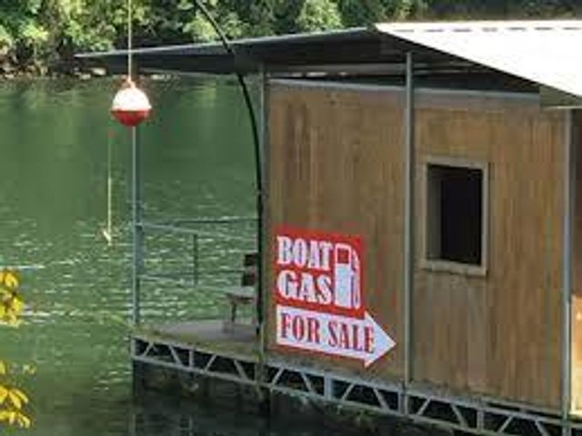 415 Monarch Drive, Branson, MO 65616