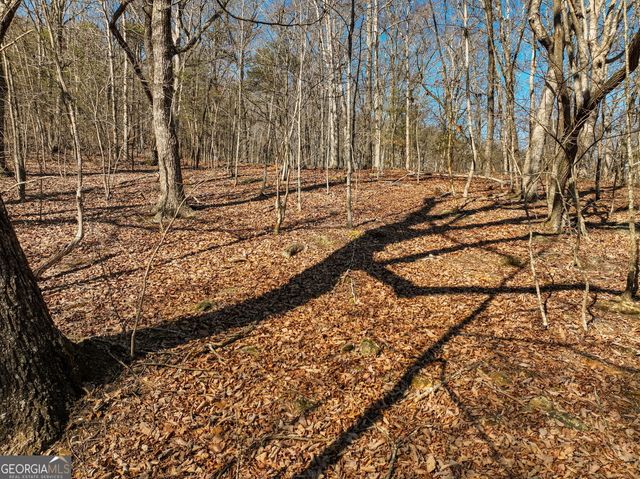 LOT 8 Mount Mincie Road, Murrayville, GA 30564