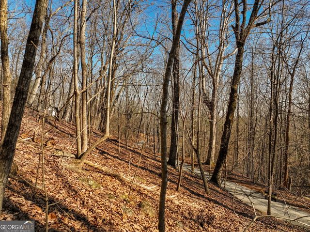 LOT 8 Mount Mincie Road, Murrayville, GA 30564