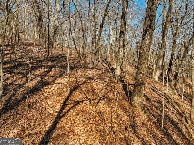 LOT 8 Mount Mincie Road, Murrayville, GA 30564