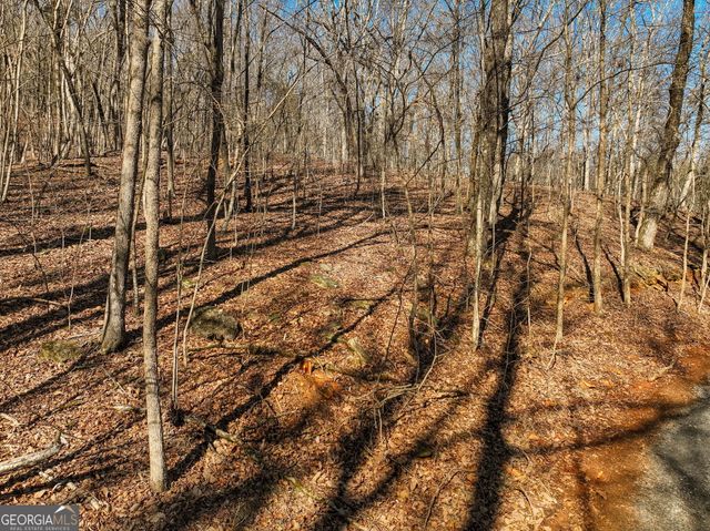 LOT 8 Mount Mincie Road, Murrayville, GA 30564