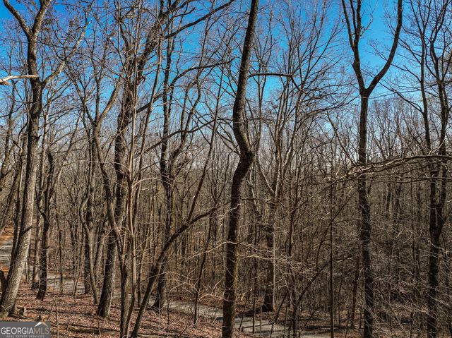 LOT 8 Mount Mincie Road, Murrayville, GA 30564