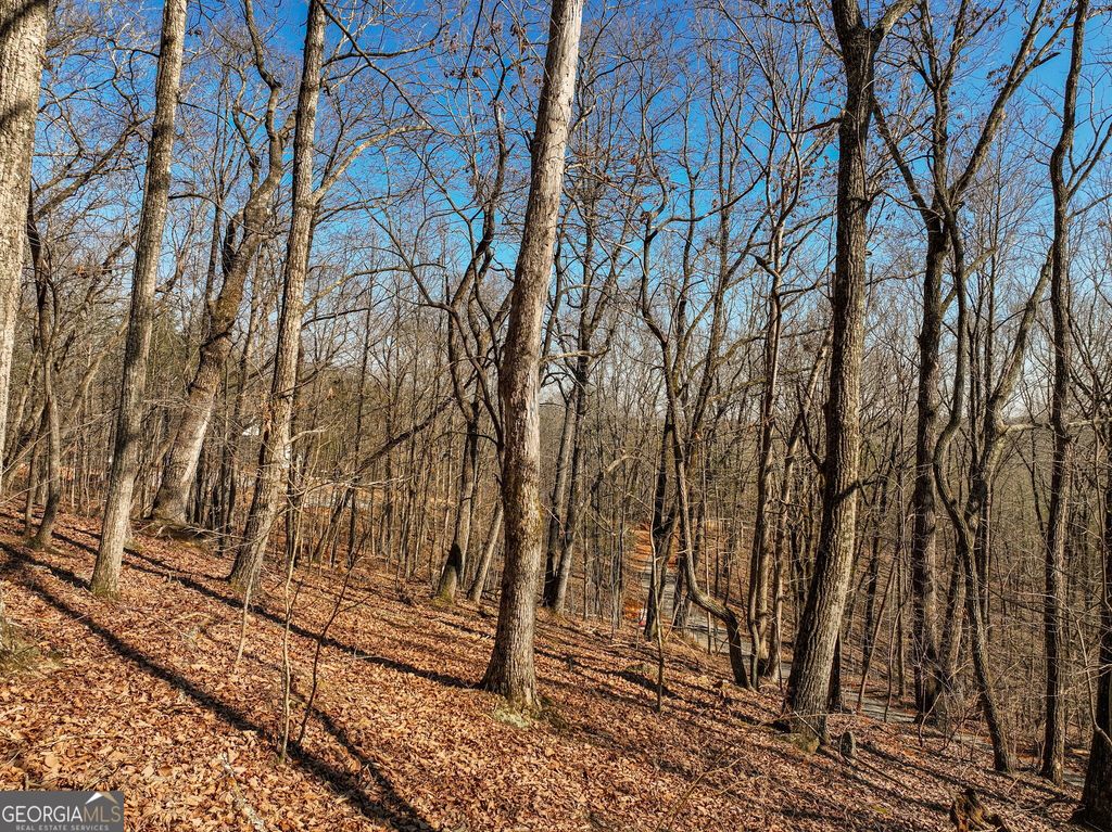LOT 8 Mount Mincie Road, Murrayville, GA 30564