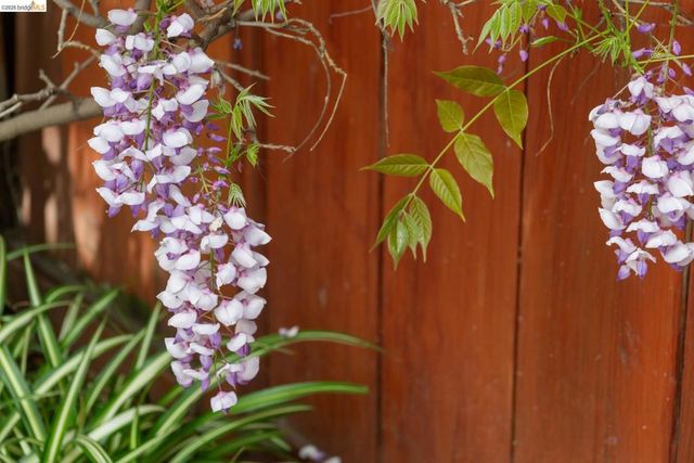 812 E 19Th St, Oakland, CA 94606