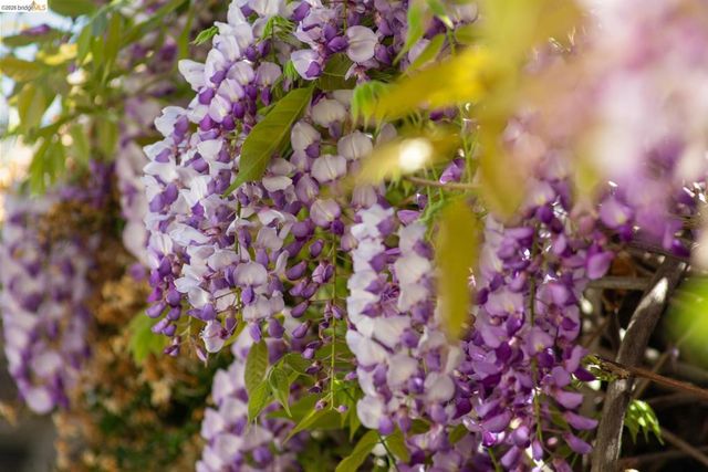 812 E 19Th St, Oakland, CA 94606