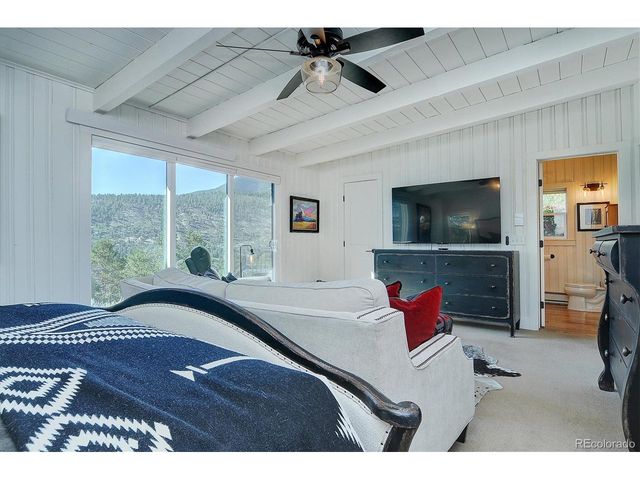 16821 County Road 162 K, Nathrop, CO 81236