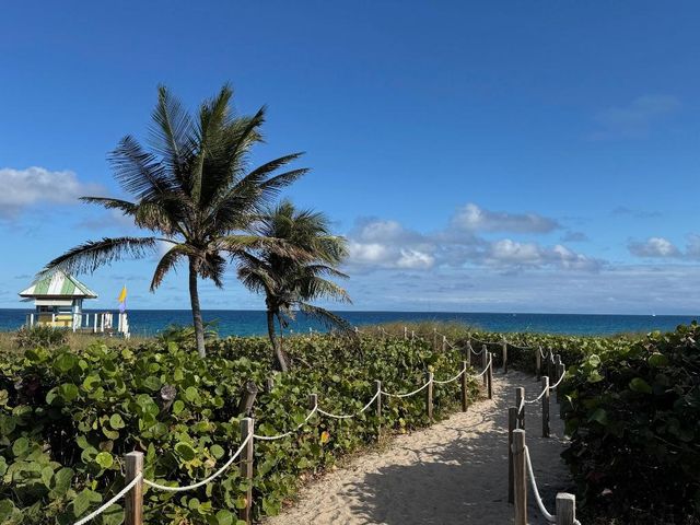 200 NE 2nd Avenue 310, Delray Beach, FL 33444