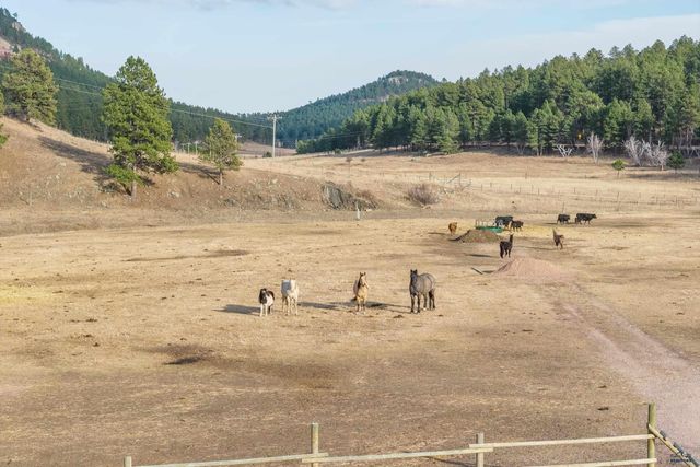 12976 BOGUS JIM ROAD, Rapid City,, SD 57702