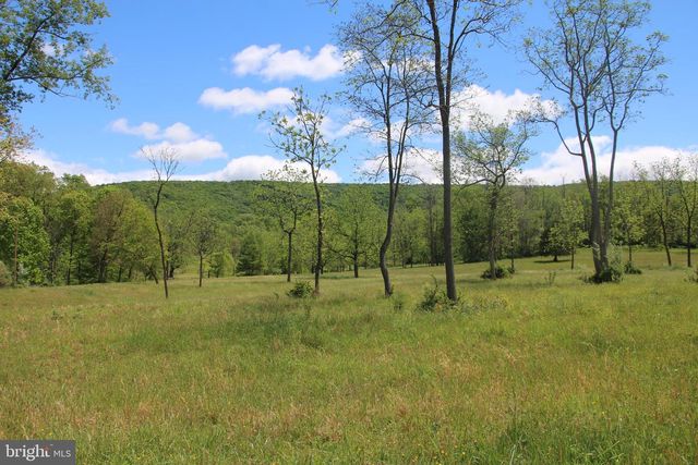 251 BARCLAYS RUN LN, Gore, VA 22637
