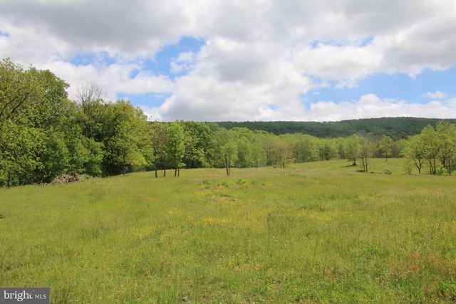 251 BARCLAYS RUN LN, Gore, VA 22637