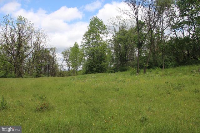 251 BARCLAYS RUN LN, Gore, VA 22637