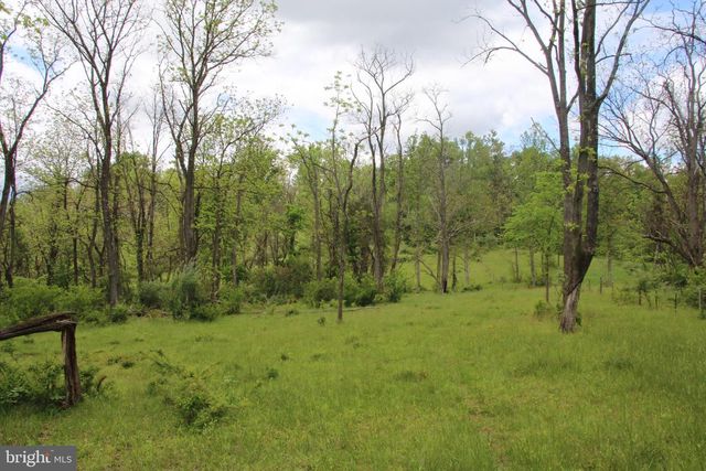 251 BARCLAYS RUN LN, Gore, VA 22637