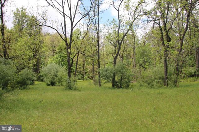 251 BARCLAYS RUN LN, Gore, VA 22637