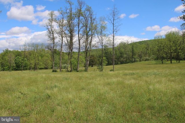 251 BARCLAYS RUN LN, Gore, VA 22637