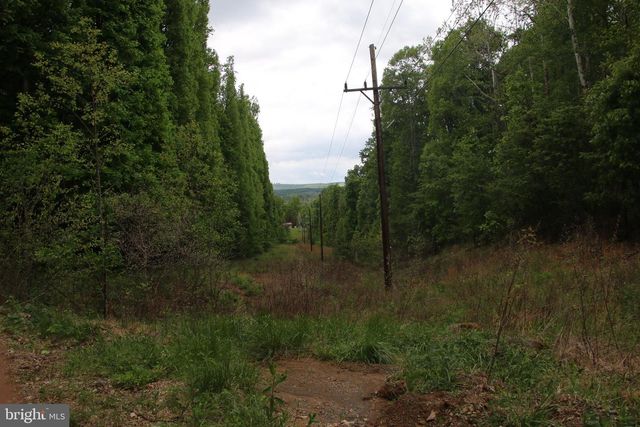 251 BARCLAYS RUN LN, Gore, VA 22637