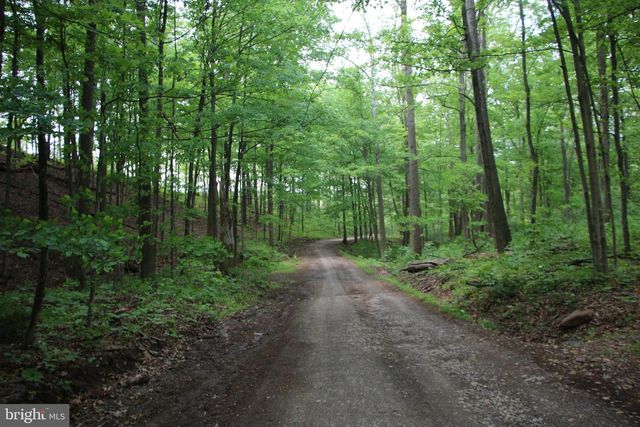 251 BARCLAYS RUN LN, Gore, VA 22637