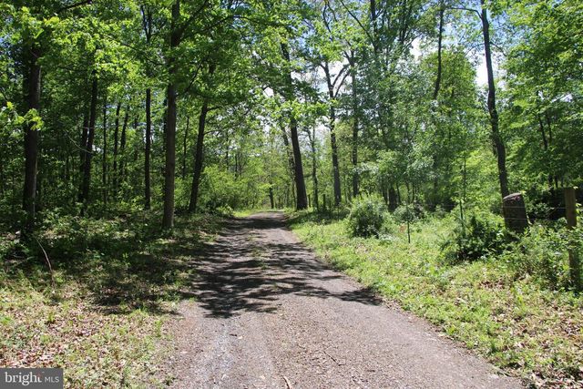 251 BARCLAYS RUN LN, Gore, VA 22637