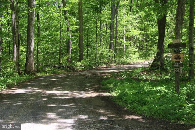251 BARCLAYS RUN LN, Gore, VA 22637