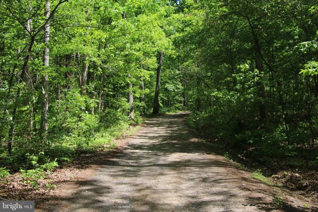 251 BARCLAYS RUN LN, Gore, VA 22637