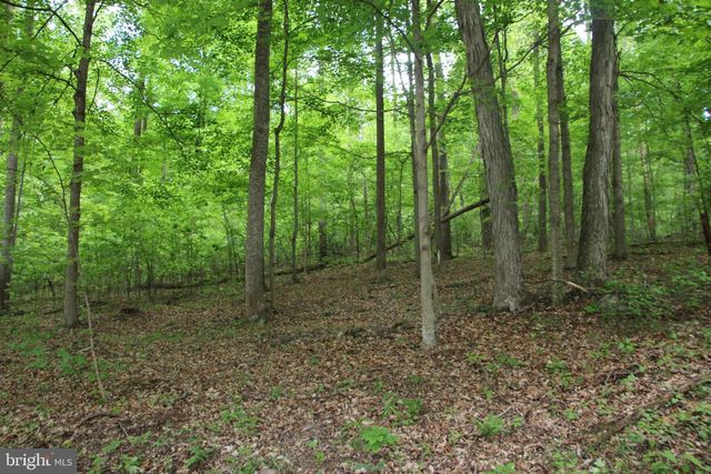 251 BARCLAYS RUN LN, Gore, VA 22637