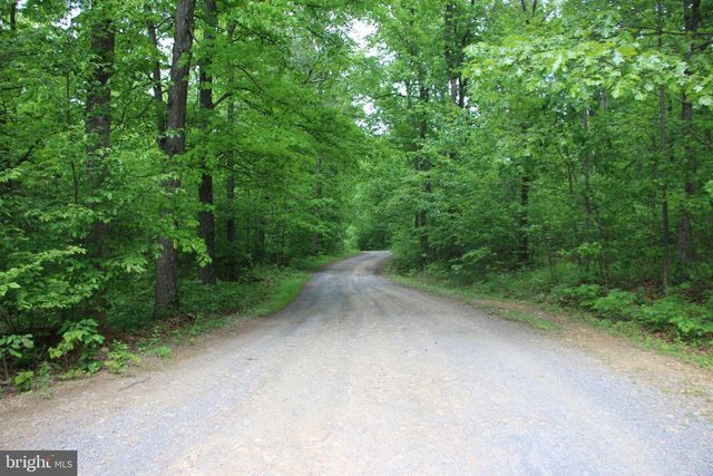 251 BARCLAYS RUN LN, Gore, VA 22637