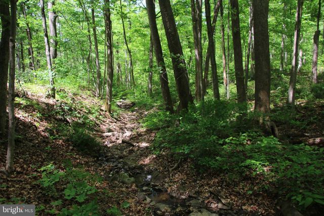 251 BARCLAYS RUN LN, Gore, VA 22637