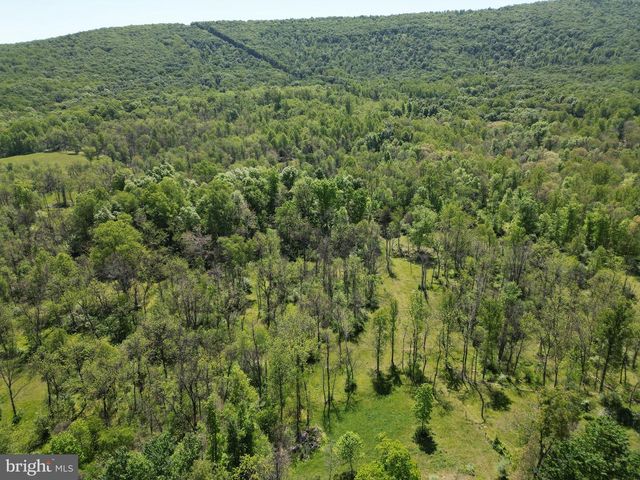 251 BARCLAYS RUN LN, Gore, VA 22637