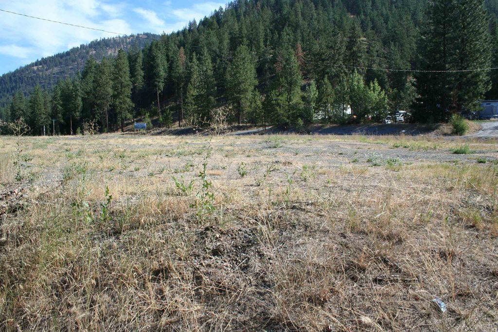 13XX S Hwy 395 Hwy, Addy, WA 99101 photo 3