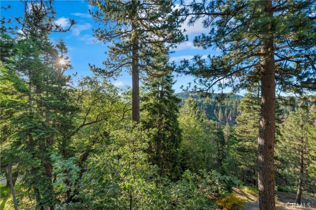 32061 Pine Cone, Running Springs, CA 92382