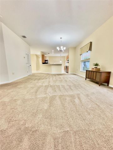 10222 DEVONSHIRE LAKE DRIVE, Tampa, FL 33647