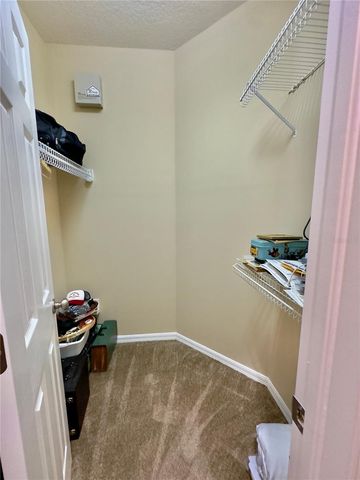 10222 DEVONSHIRE LAKE DRIVE, Tampa, FL 33647