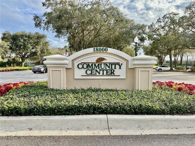 10222 DEVONSHIRE LAKE DRIVE, Tampa, FL 33647