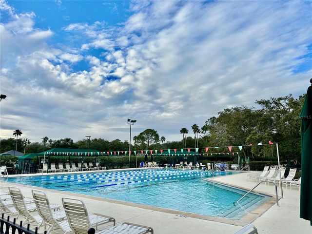 10222 DEVONSHIRE LAKE DRIVE, Tampa, FL 33647