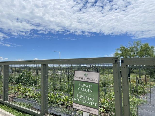 9709 Morning Iris DR, Manor, TX 78653