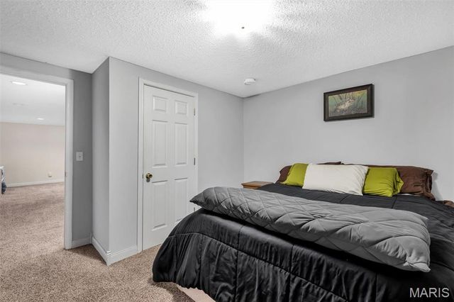 7 Morning Mist Court, St Peters, MO 63376