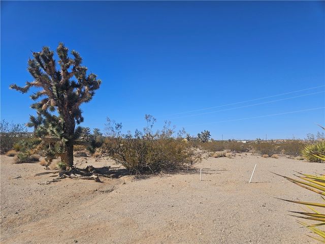 595 E Dellenbaugh Drive, Meadview, AZ 86444