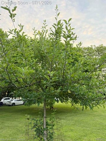 1330 Brauer Road, Metamora Township, MI 48371