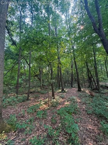 1330 Brauer Road, Metamora Township, MI 48371