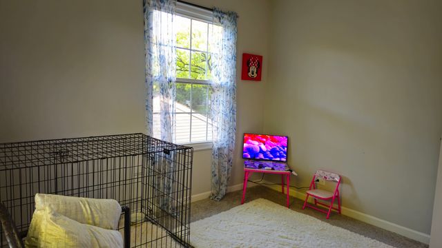 16 Forest Lane, Cary, IL 60013