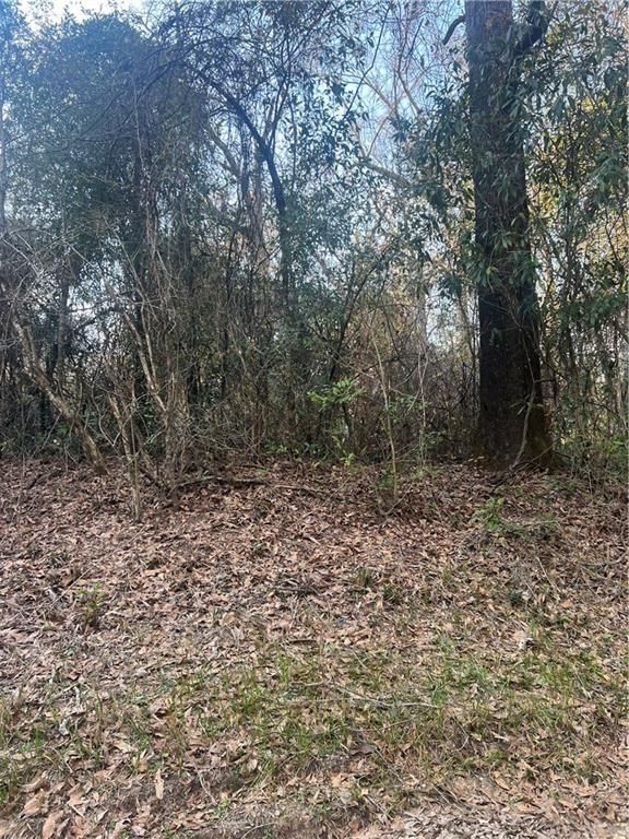 10965 Stephens Road, Chunchula, AL 36521 — exterior