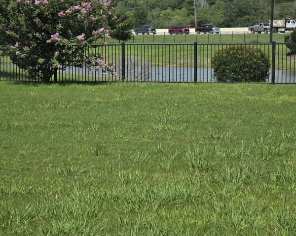 6262 Eagle Mountain Lane, Manvel, TX 77578