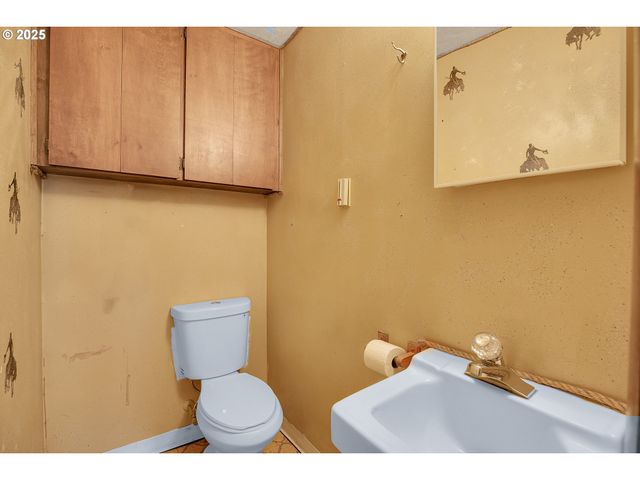 47085 OLD 77 VESPER Ln, Birkenfeld, OR 97016