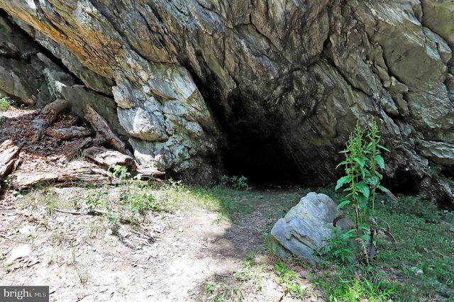 10138 STONECAT MEWS, New Market, MD 21774