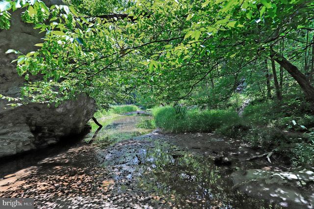 10138 STONECAT MEWS, New Market, MD 21774