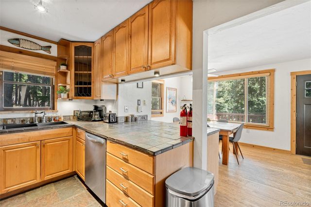 38 Brook Drive, Idaho Springs, CO 80452
